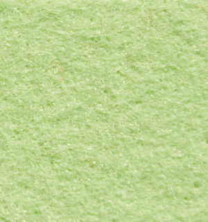 PISTACHIO NUT CARPET