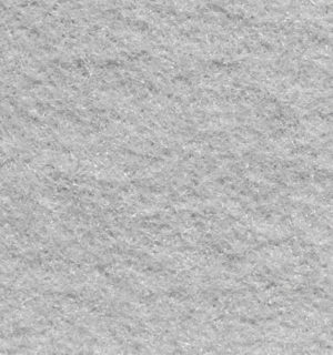 LIGHT GRAY CARPET