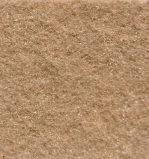 BEIGE CARPET