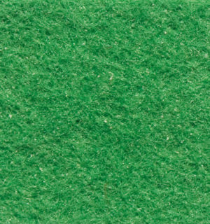 APPLE GREEN CARPET