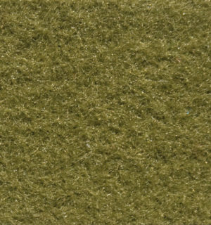 KHAKI CARPET