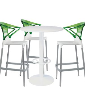 GREEN CAPRICE SNACK SET