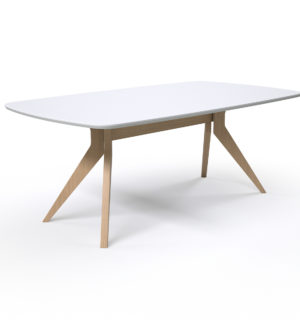 TABLE ERMES