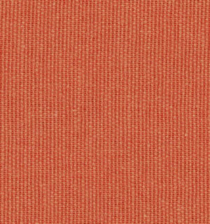 COTON GRATTE MANDARINE